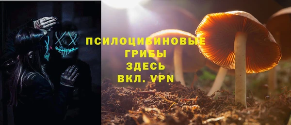 apvp Баксан