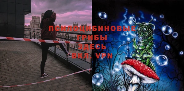 ешки Медногорск