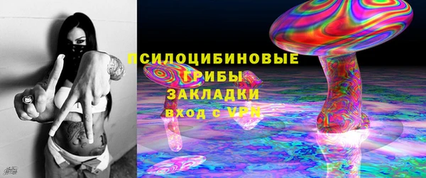 ешки Медногорск